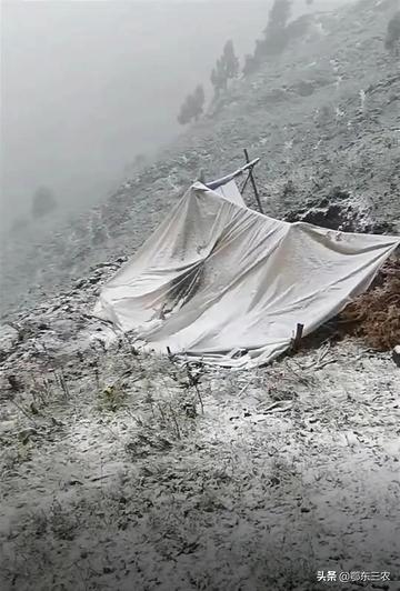 冰火两重天图片搞笑