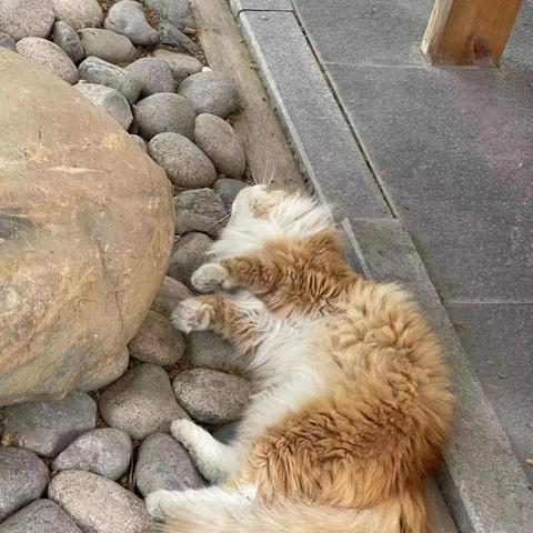 保定市凡吾造型的长尾关键词有哪些