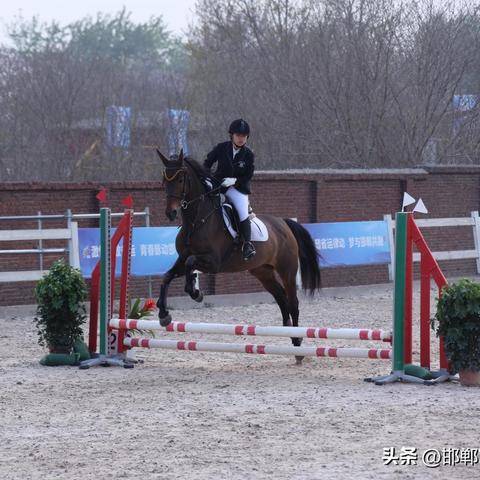 石家庄市马术教练工资多少的长尾关键词有哪些