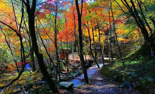 安庆冷门小众景点，秋季枫叶火红，开发完善拥有独特美景