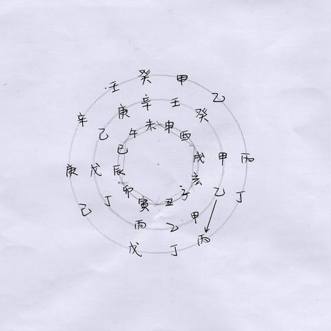 地支亥五行属什么(亥属于五行属什么意思)