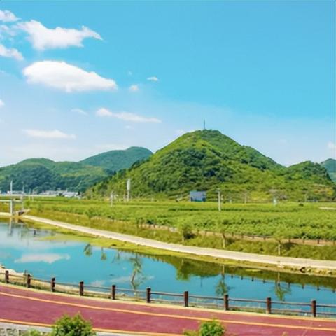 长沙沙湾公园需要门票吗？