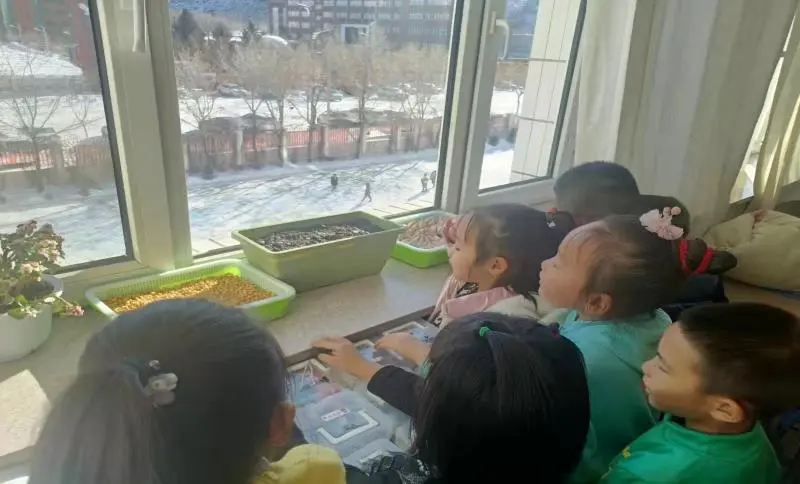 微信直播号怎么关直播回放 微信直播能看回放么怎么关