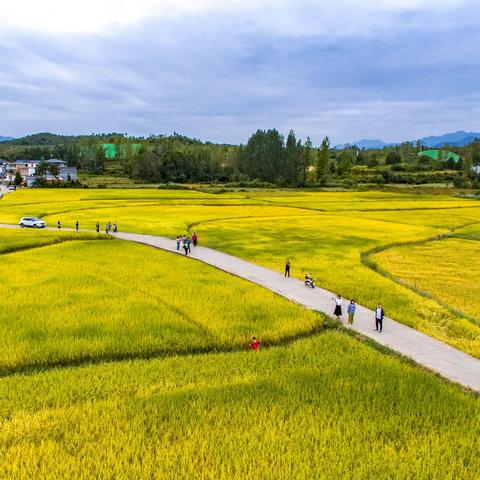 河南话哪个词好听