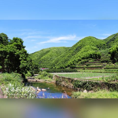 宁波市奉化区属于哪个县