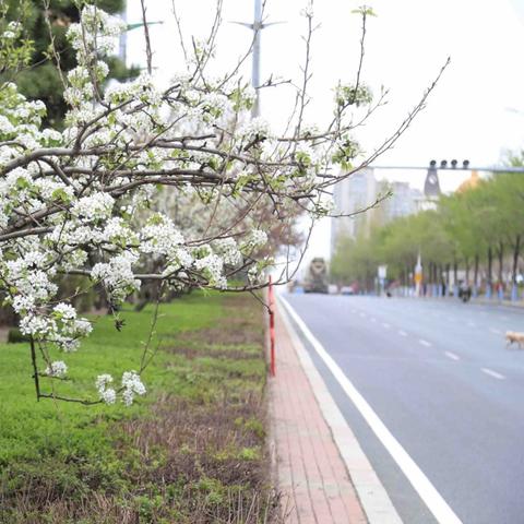 哈尔滨市一个区多少公里