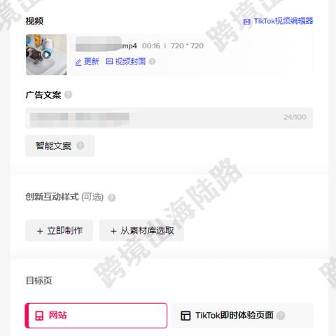 tiktok是什么网址