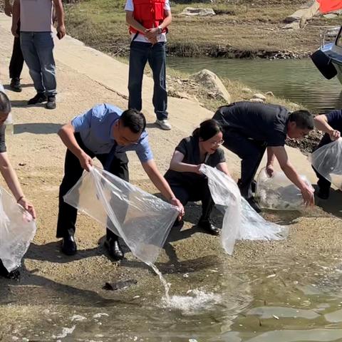 武汉先锋水产的长尾关键词有什么