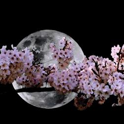 怎么用生辰八字排列卦象_周易怎么用生辰八字看卦象(周易八卦怎么根据生辰八字起卦)