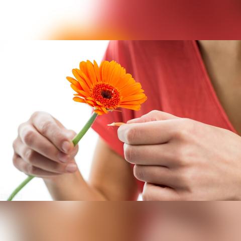 石家庄市手推绣的长尾关键词有哪些