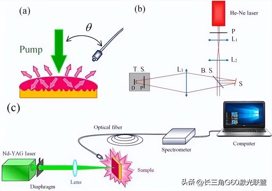 纤维素科学与技术期刊论文发表为何高强度运动后没食欲