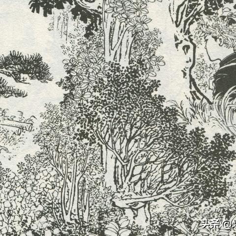 破天荒！长城烟斗丝专卖网点地址“目不转睛”