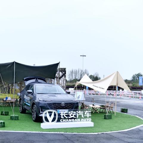 2025.12.29成都今日最新油价查询