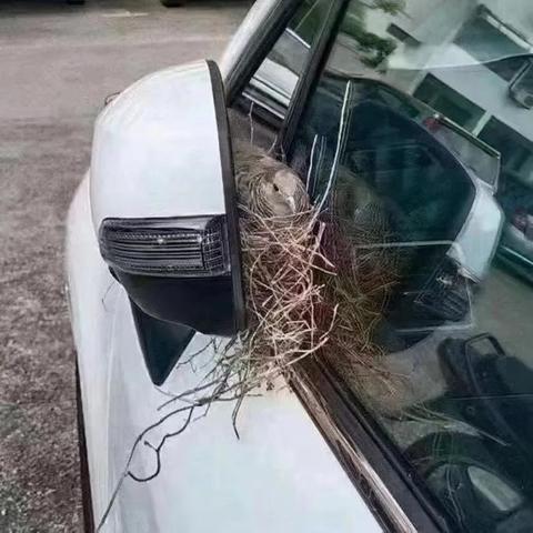 邯郸市解封餐饮情况的长尾关键词有哪些