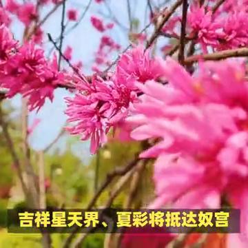 3月1日生肖运势解析详解(3月1日属相)