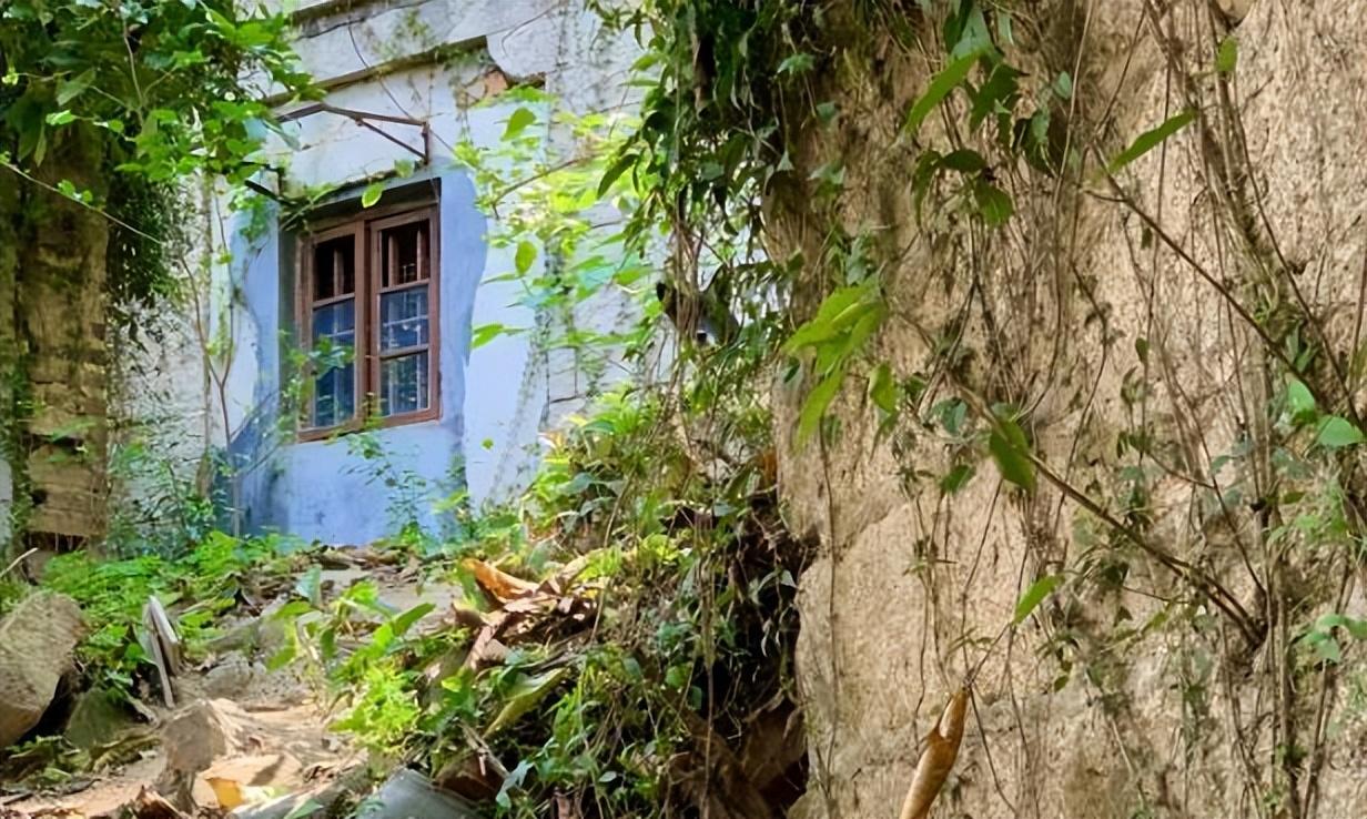 福建景点排行：探寻前十名胜地之旅