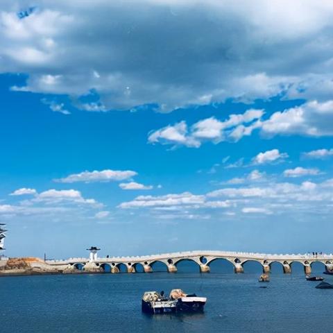 大连粮食交易市场的长尾关键词有什么