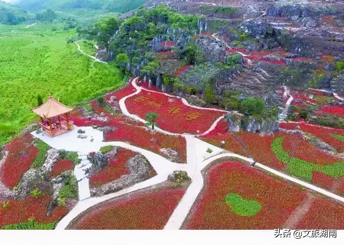黄岩家乡有什么美食（台州黄岩哪里好摆地摊）