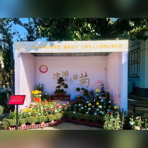 【天津有几个花卉市场】相关长尾关键词有哪些