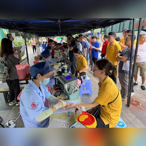 南宁血站中心官方网站的相关长尾关键词有哪些