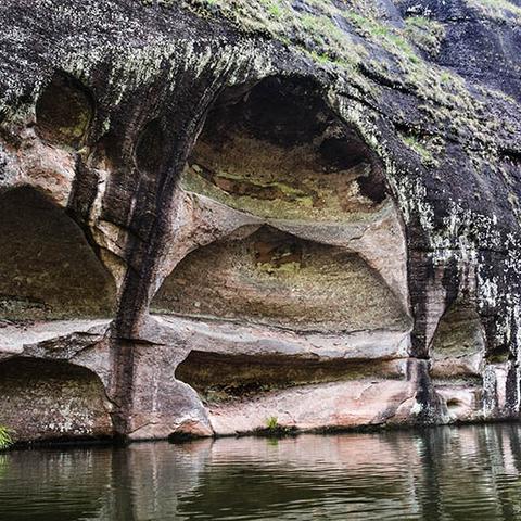 福建园读哪个小学