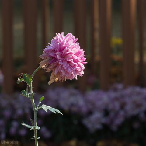 超级什么电脑的小说