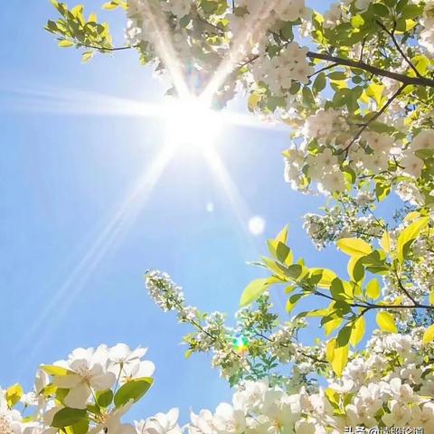 生辰八字做法事，真的能改运吗？