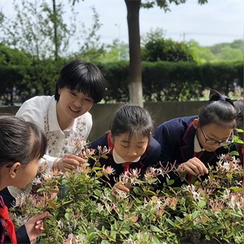 合肥市小学数学什么版本