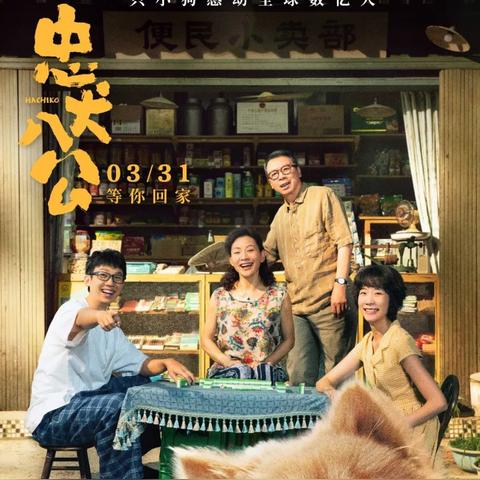 同城小狗南宁的相关长尾关键词有哪些