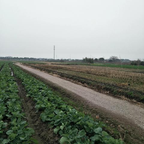 宁波市慈溪市属于什么镇