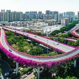 怎么样快认识深圳道路？