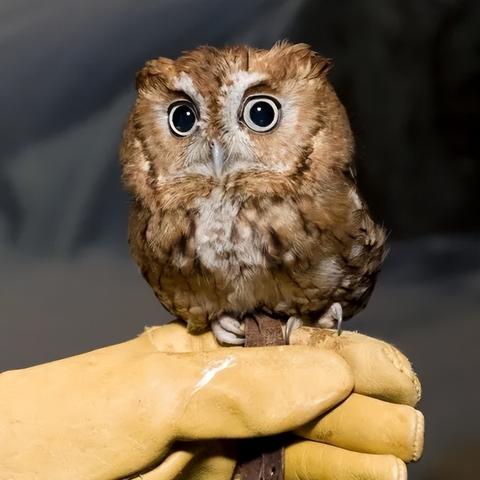 福建哪个小区老人多