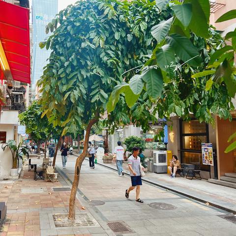 广州市商场在什么地方