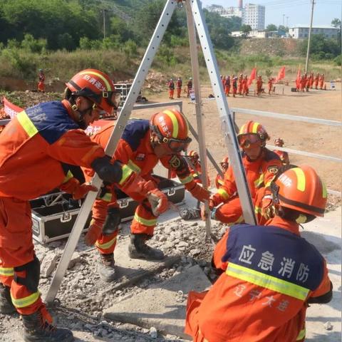 大连市综合办是什么单位