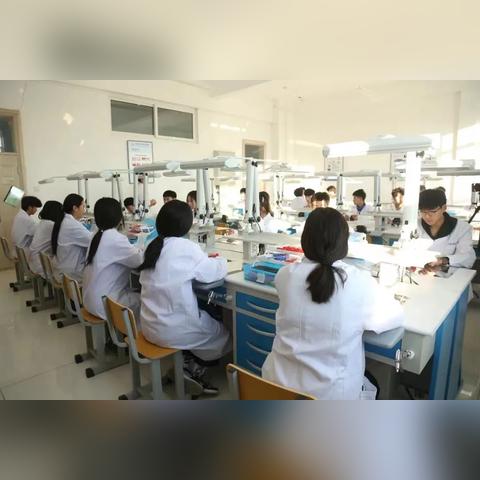 哈尔滨有哪些国企医药相关长尾关键词有哪些