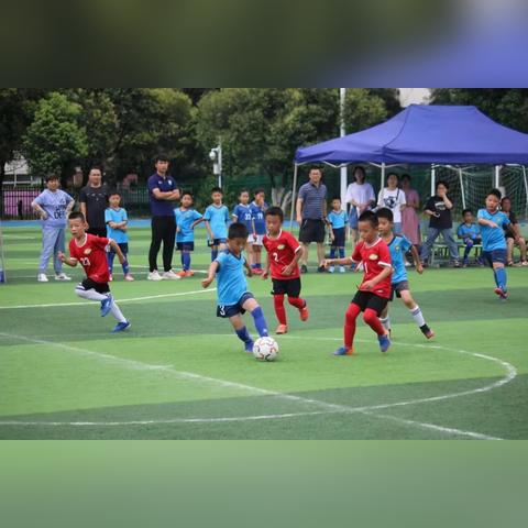 合肥市哪个小学比较好