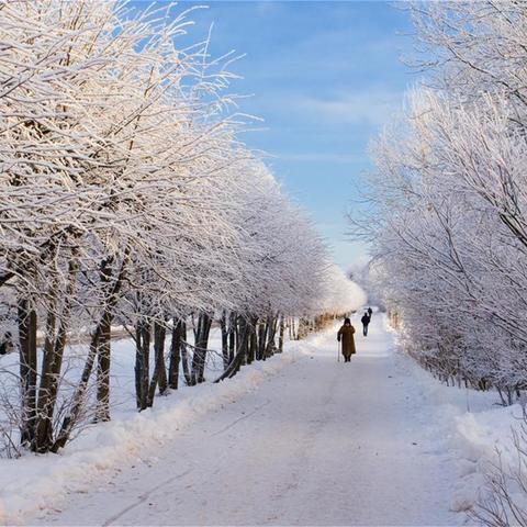 12月天气什么样