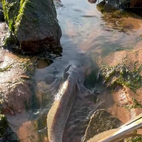 哪个海边最好玩福建