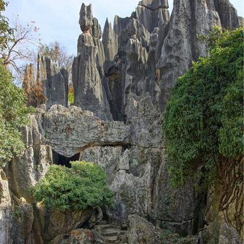 昆明市世博园桂花的长尾关键词有哪些