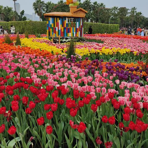 厦门园博苑景点的相关长尾关键词有哪些