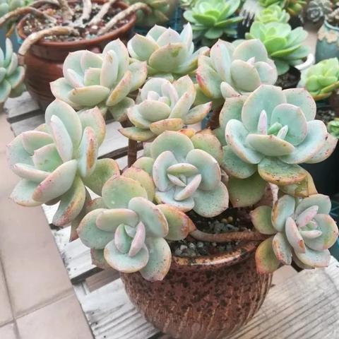 广东一般天气怎么样