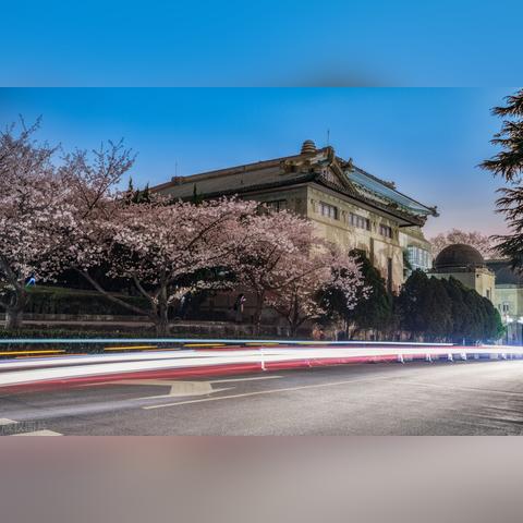 武汉财经大学属于哪个区？