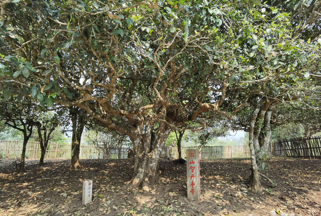 宝宝春季饮食禁忌