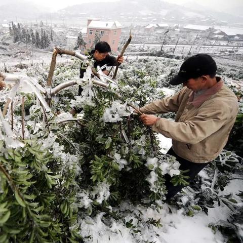 什么原因导致全国降雨