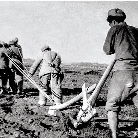 沈阳堵相关长尾关键词有哪些