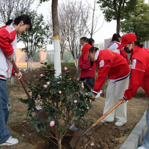 什么是合肥市绿色评价