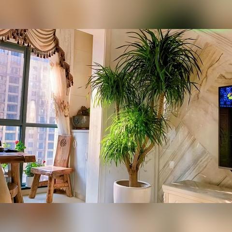 你的名字本该旺运，这样取才对