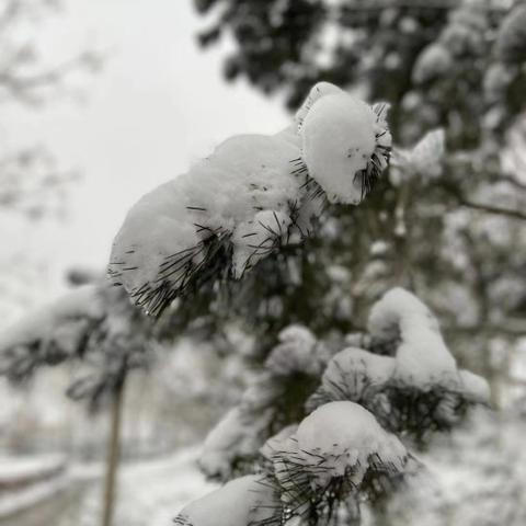 河南到东北的天气怎么样