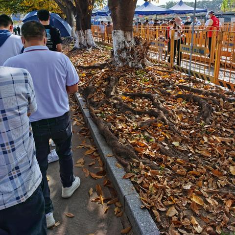 广东东莞市疫情消息的长尾关键词有哪些