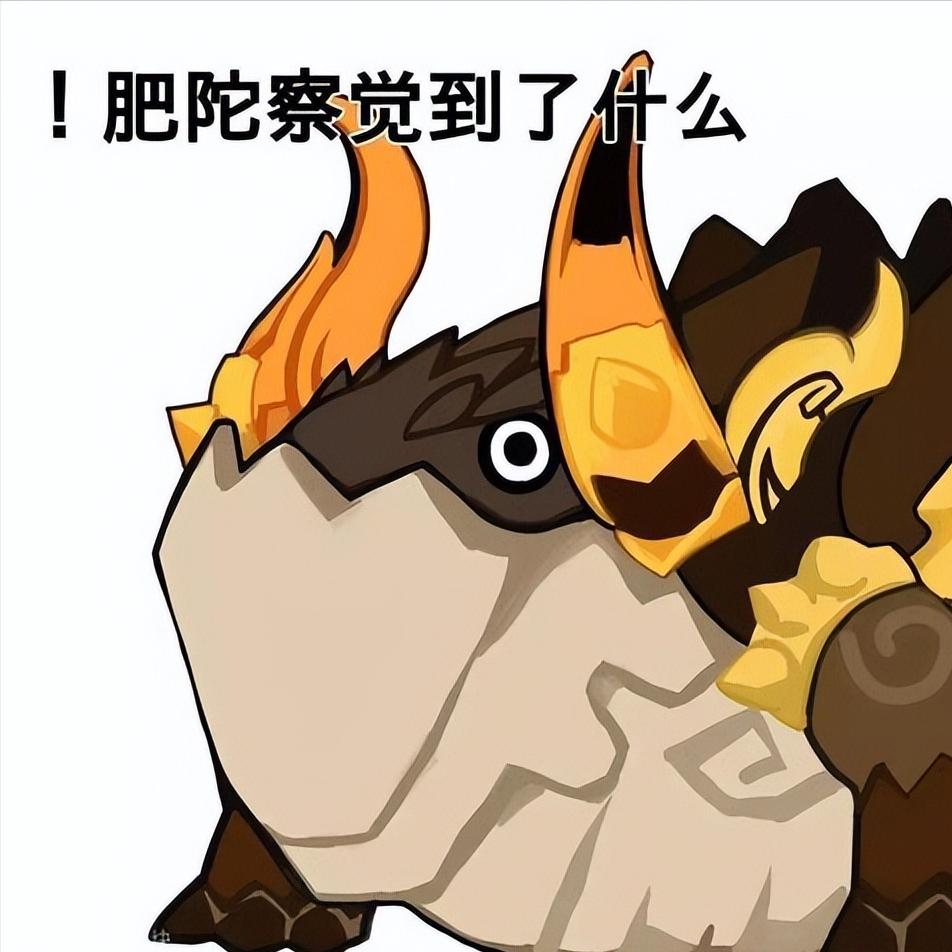 原神若陀龙王在哪怎么开（原神诺陀龙王怎么开启）